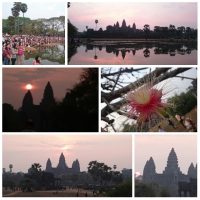 Angkor Wat – Ta Prohm, Angkor Wat