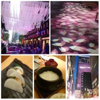 Nihonbashi Sakura Festival 2107