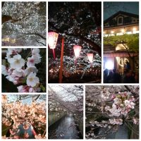 Hashida-ya, Nakameguro, Tokyo