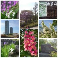 Furakotamagawa Park