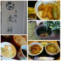 Kaminoge Sarashina, Soba