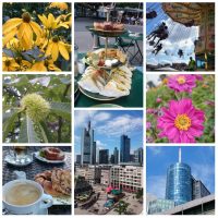 Frankfurt 2017 summer