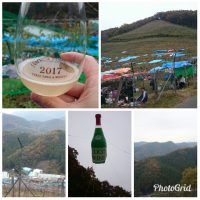 COCO FARM 2017 HARVEST FESTIVAL