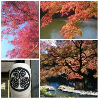 Koishikaw Korakuen Garden, 2017 autumn