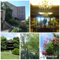 Chinzanso 2018 summer